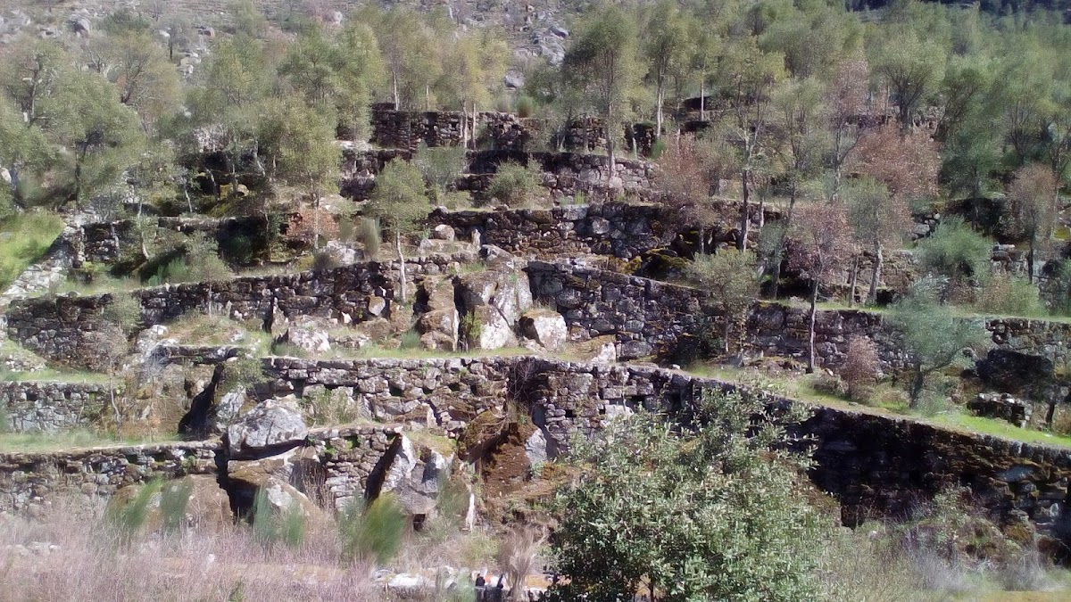 Carrazeda de Anciães