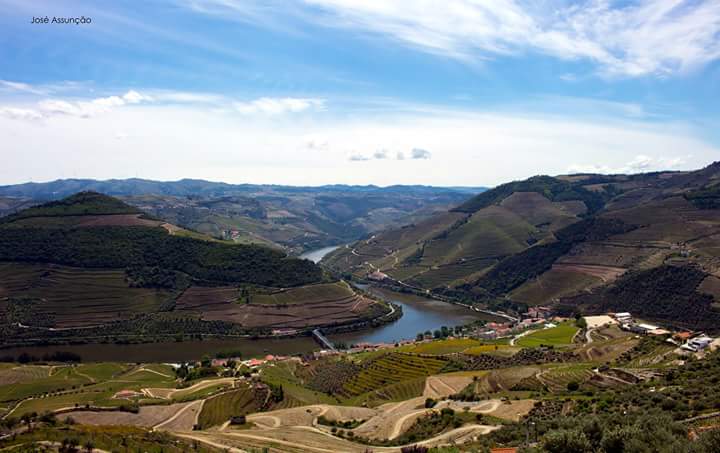 Ervedosa do Douro