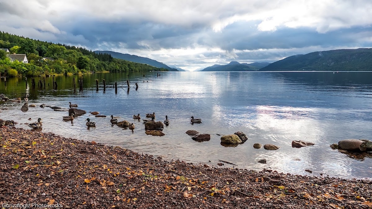Loch Ness-Side