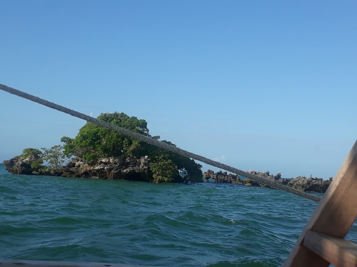 Makangale