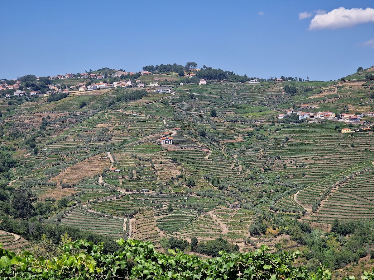Santa Marta de Penaguião