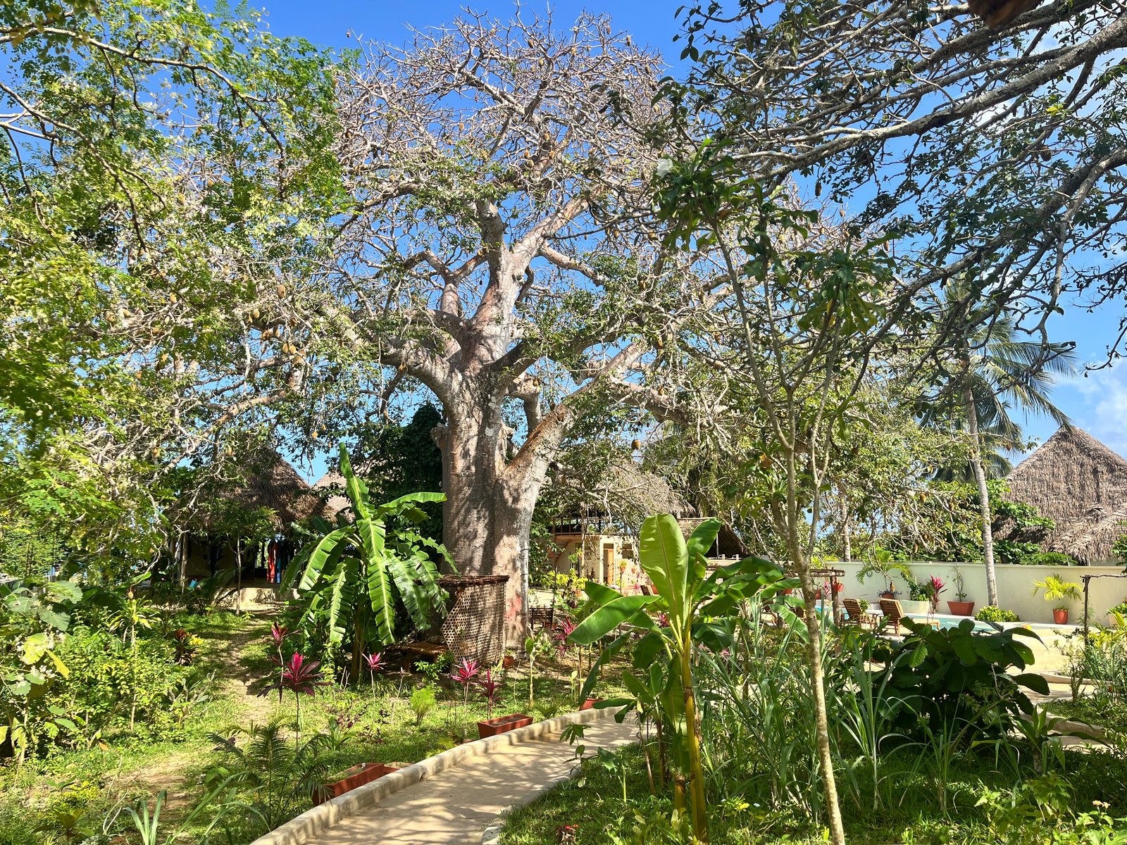Afro Divers Lodge