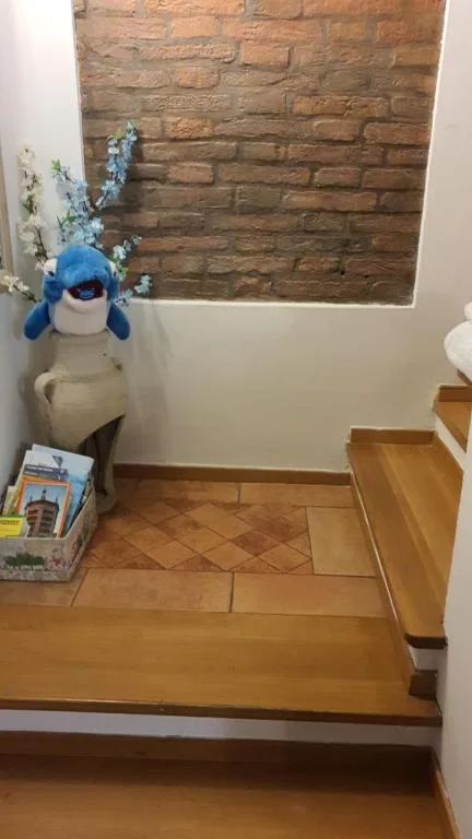 Il Delfino a Bologna