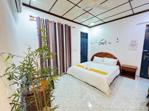 Bella Stay Inn Fvm
