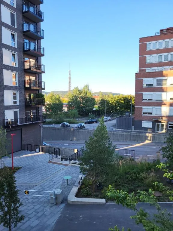 Oslo Golden Choice