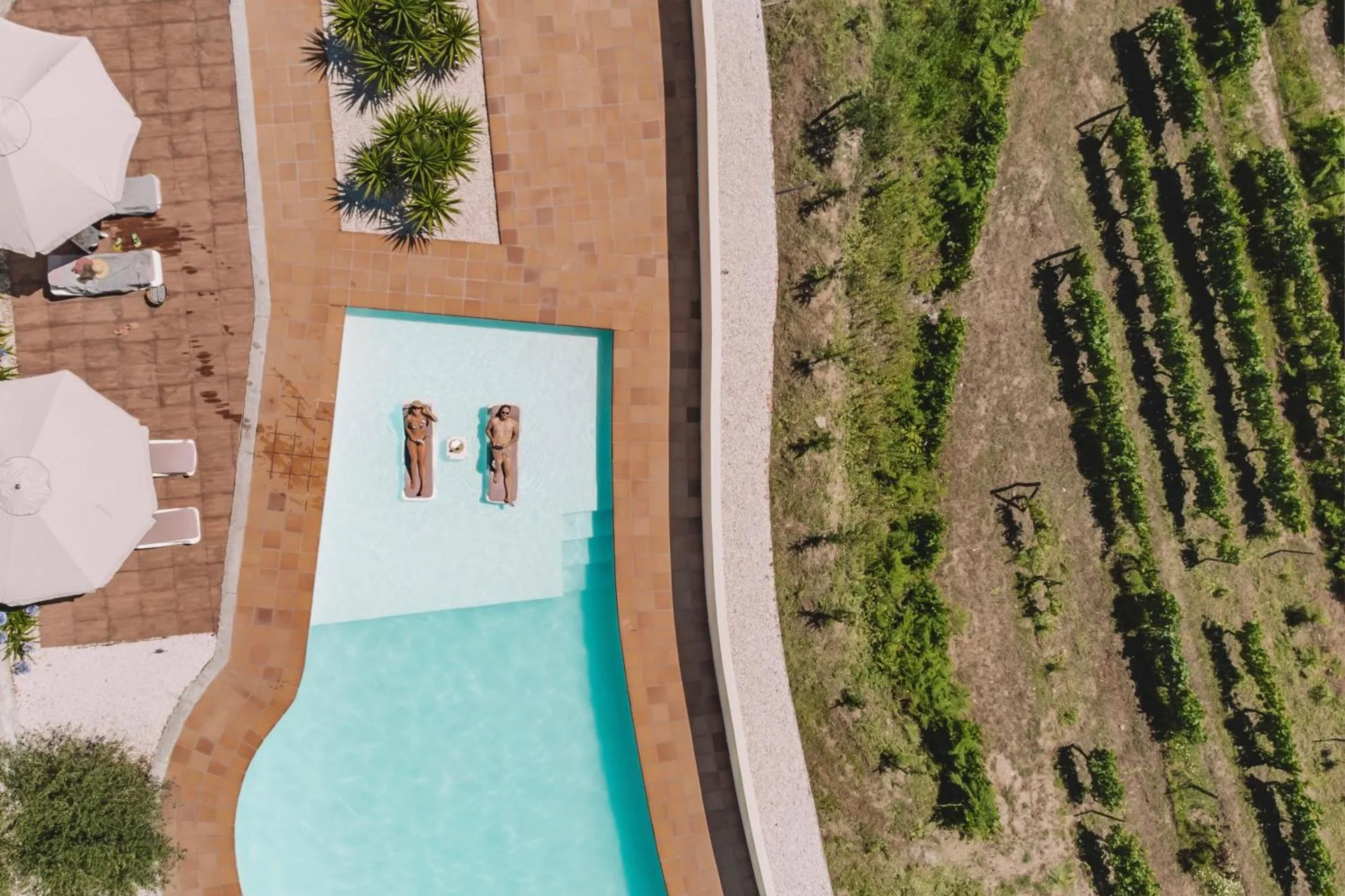 Private Douro - Quinta das Susandas