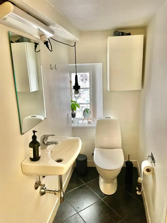 A Charming and Beautiful Oasis in the Heart of Copenhagen