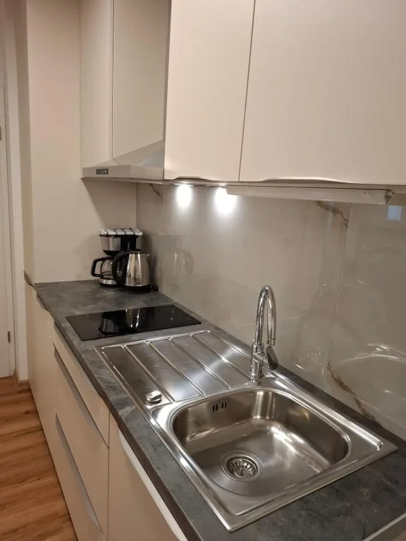 Vila Ema Apartments and Rooms