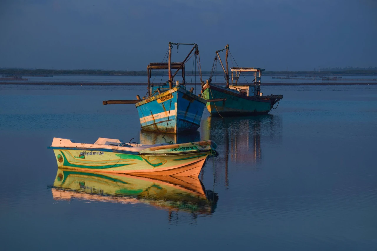 Jaffna, Sri Lanka Travel Guide 2026: World's #2 Destination