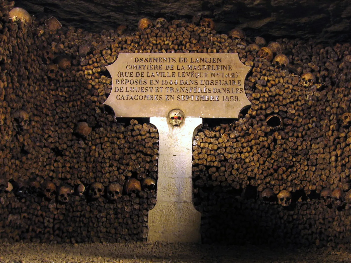 Skulls and bones stacked on the walls of the Catacombs of Paris