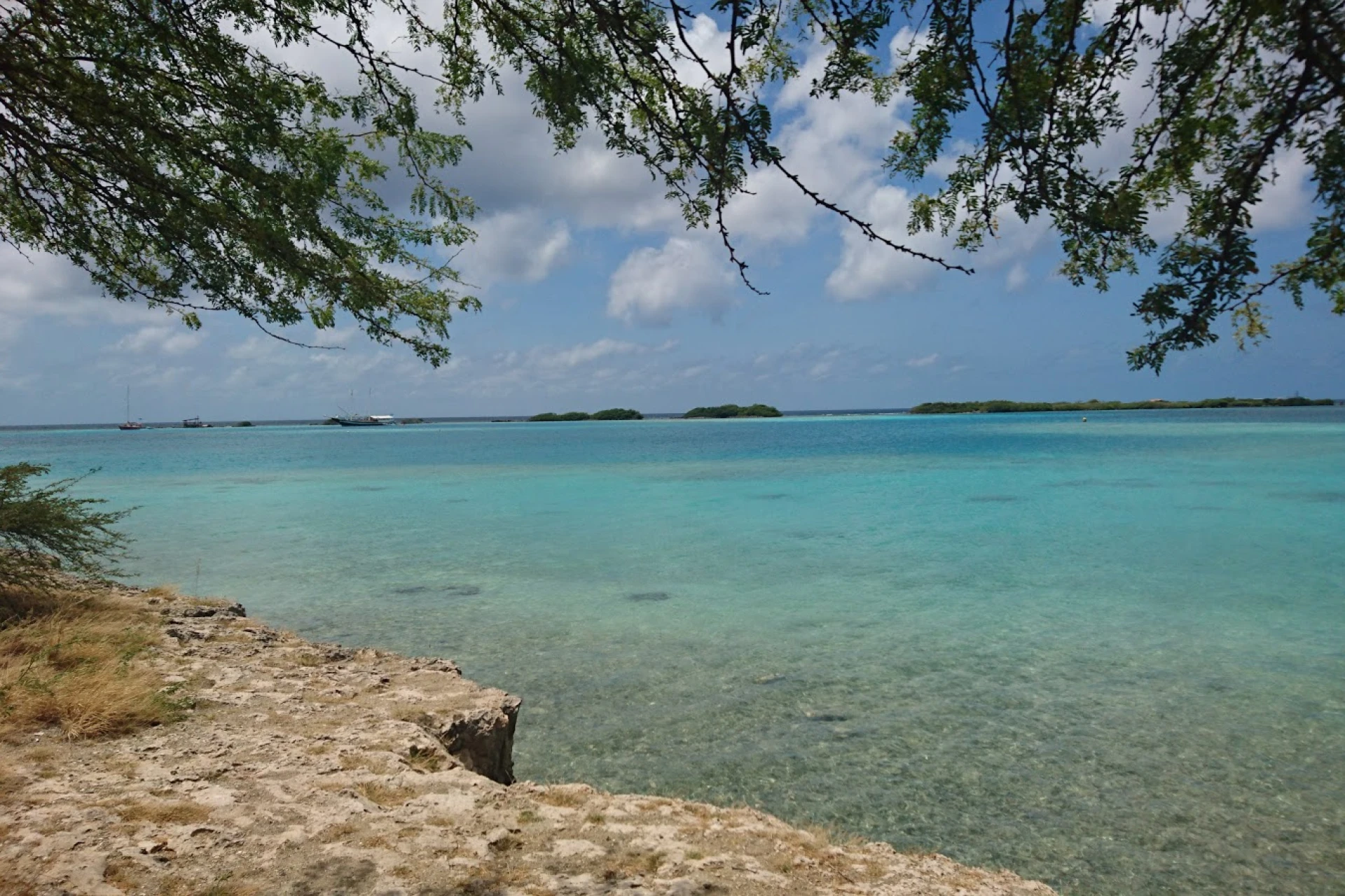 Unveiling the Hidden Gem: Savaneta - A Must-Explore City for Adventurous Travelers!