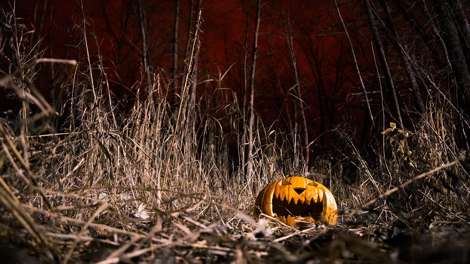 The World's Biggest Halloween Celebrations and Where to Go