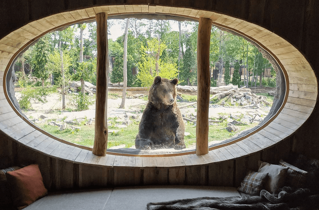 Top 7 Unique Travel Experiences in Europe You Didn't Know Existed